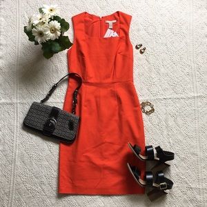 NWT Banana republic orange dress - size 2P